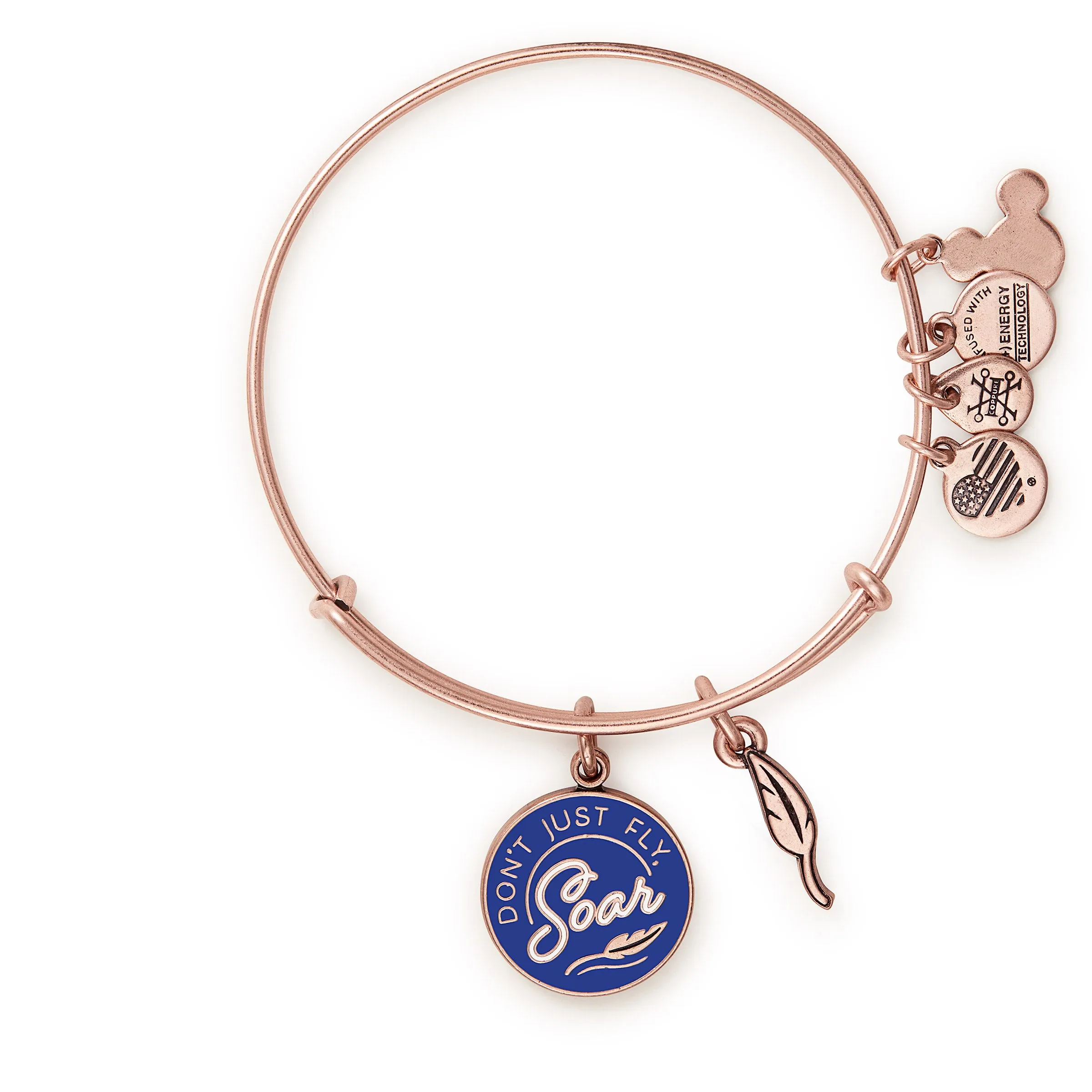 Disney® Dumbo 'Don't Just Fly, Soar' Duo Charm Bangle