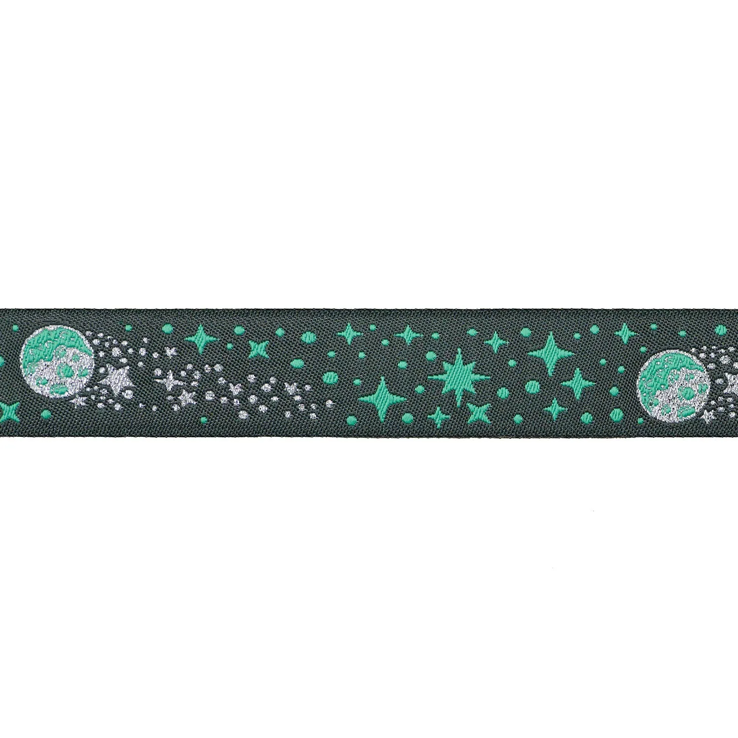 Meteor Shower in Storm - 7/8" width - Tula Pink Roar! - One Yard