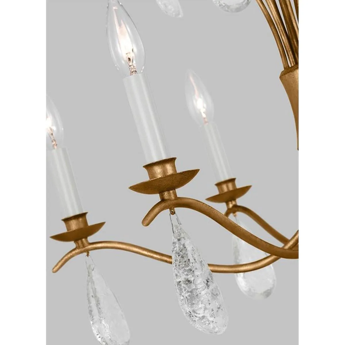 Shannon 26 in. 6 lights Chandelier Gold finish